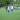 porto fc