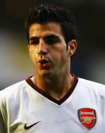 Francesc Fàbregas i Soler