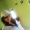 Tabitha
