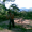 pedro javie uribe ortz