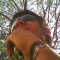 Wicho