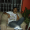 el kike