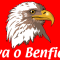 vasco ribeiro