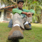 Govind Menon