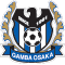 G. Osaka