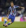 Raul José Trindade Meireles