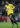 Helton da Silva Arruda