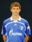 B. Höwedes