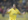 Robert Pires