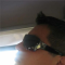 JOSE DE JESUS