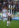 Mohamed Lamine Sissoko