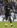 Papa Bouba Diop