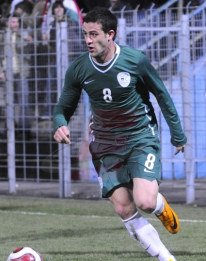 Mirnes Sead Šišić