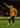 Dean Windass