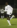 Victor Moses