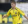 Robbie Rogers