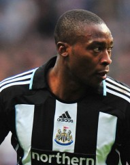 Shola Ameobi