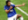 Marcelo Martins Moreno