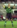 Claudio Taffarel