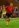 Anthony Vanden Borre